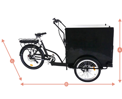 Dimensions du modèle