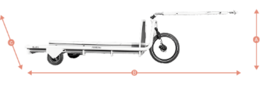 Dimensions du modèle